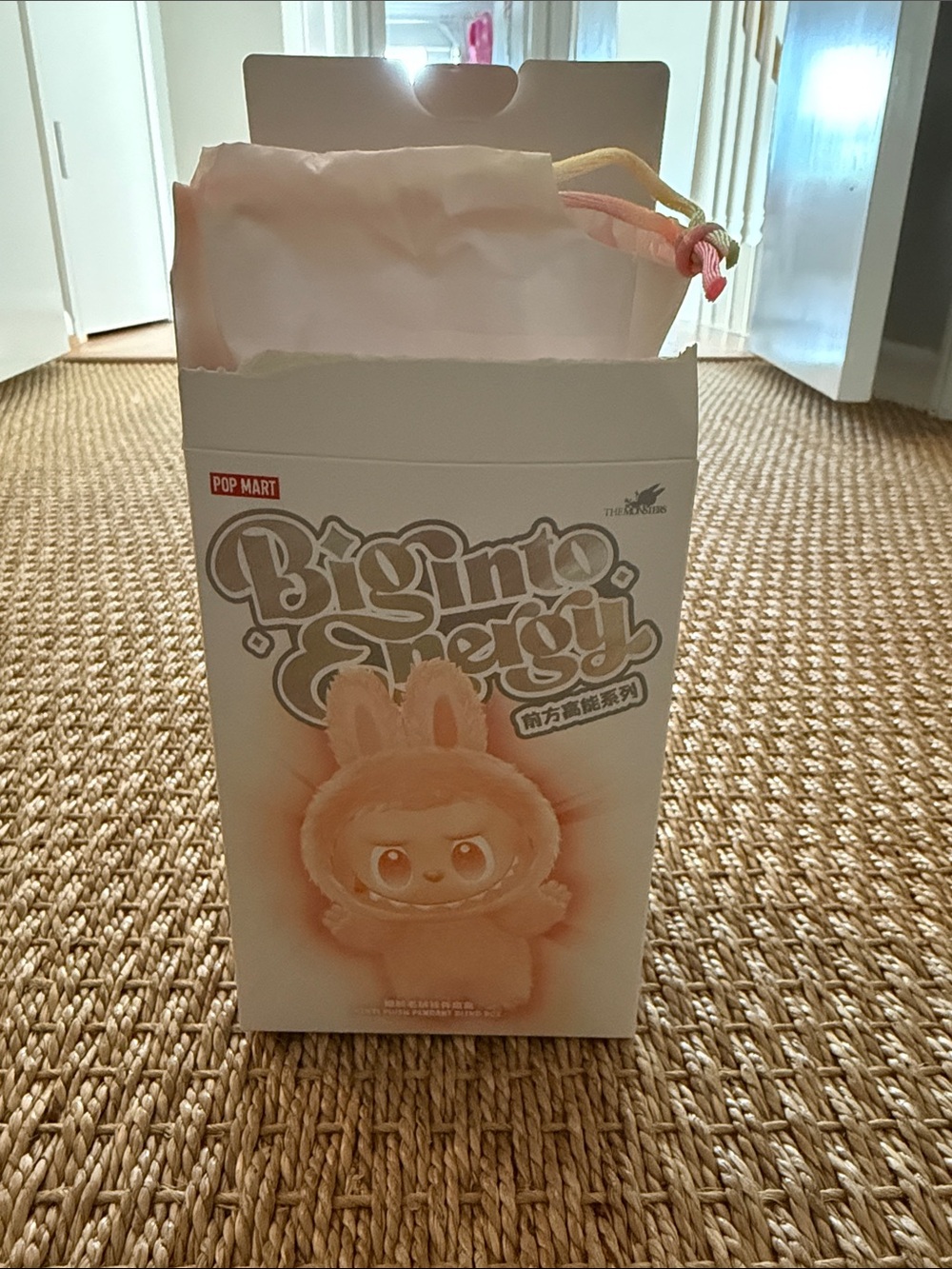 Pop Mart Plush “big into energy”  labubu